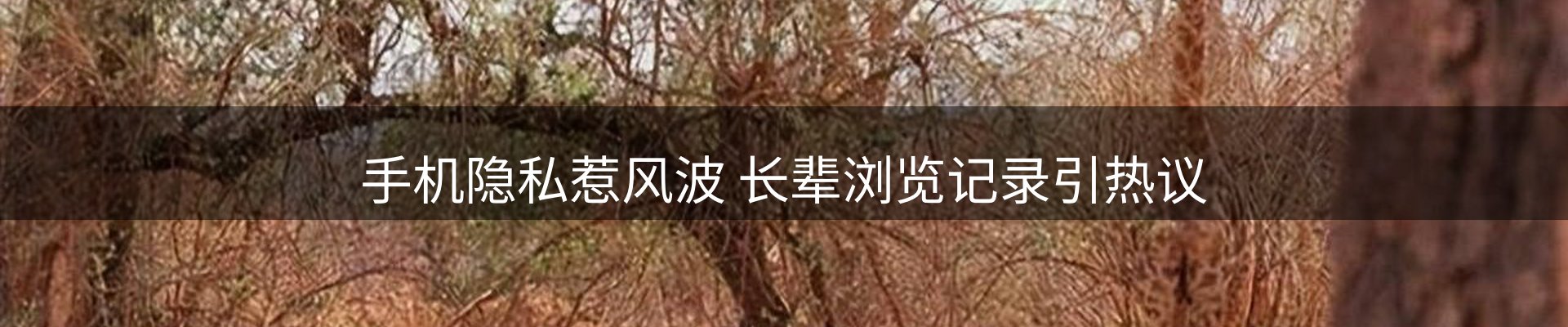 平台视角