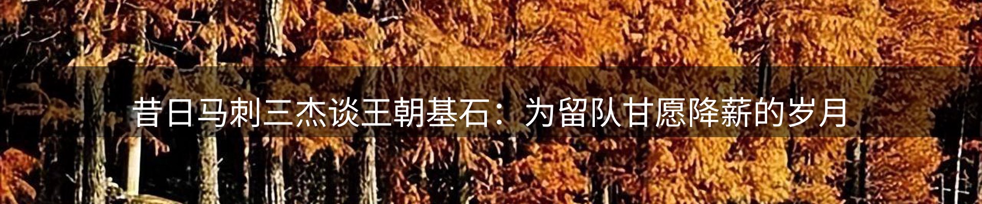 平台视角